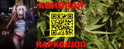 ешки Кингисепп