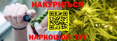 ешки Кингисепп