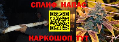 ешки Кингисепп