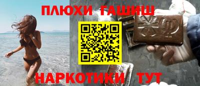 ешки Кингисепп