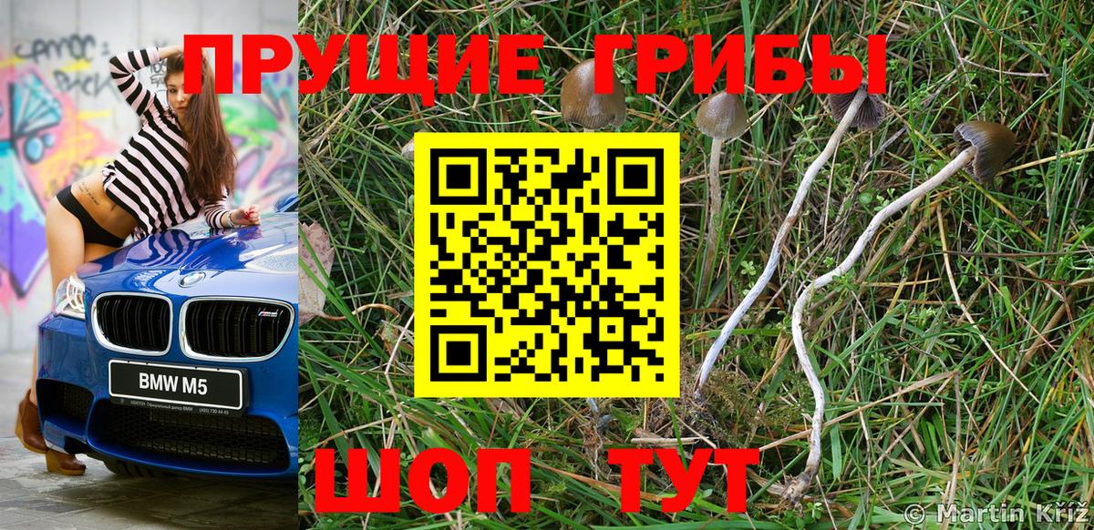 что такое   Галлюциногенные грибы MAGIC MUSHROOMS  Вход с VPN  Красный Сулин 